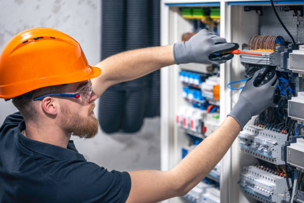 Best Electric Panel Repair  in Coal Valley, IL
